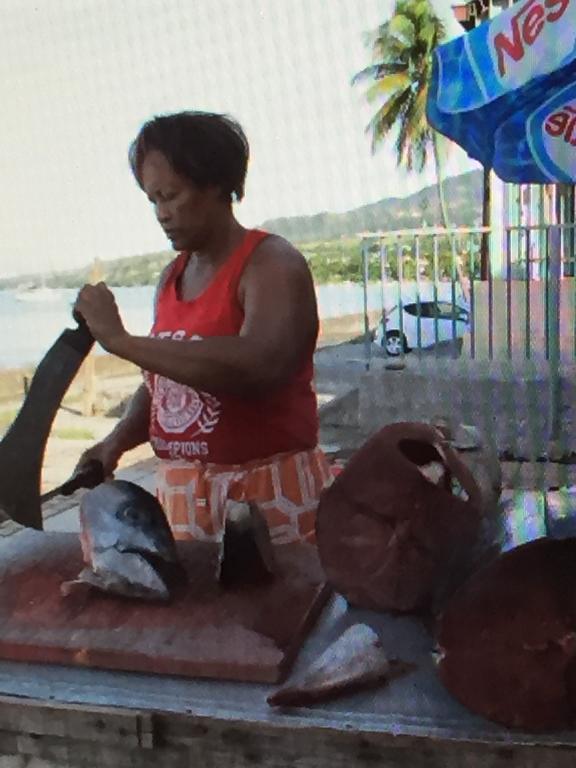 Carribbean Madicreole Au Carbet Villa Le Carbet Eksteriør billede